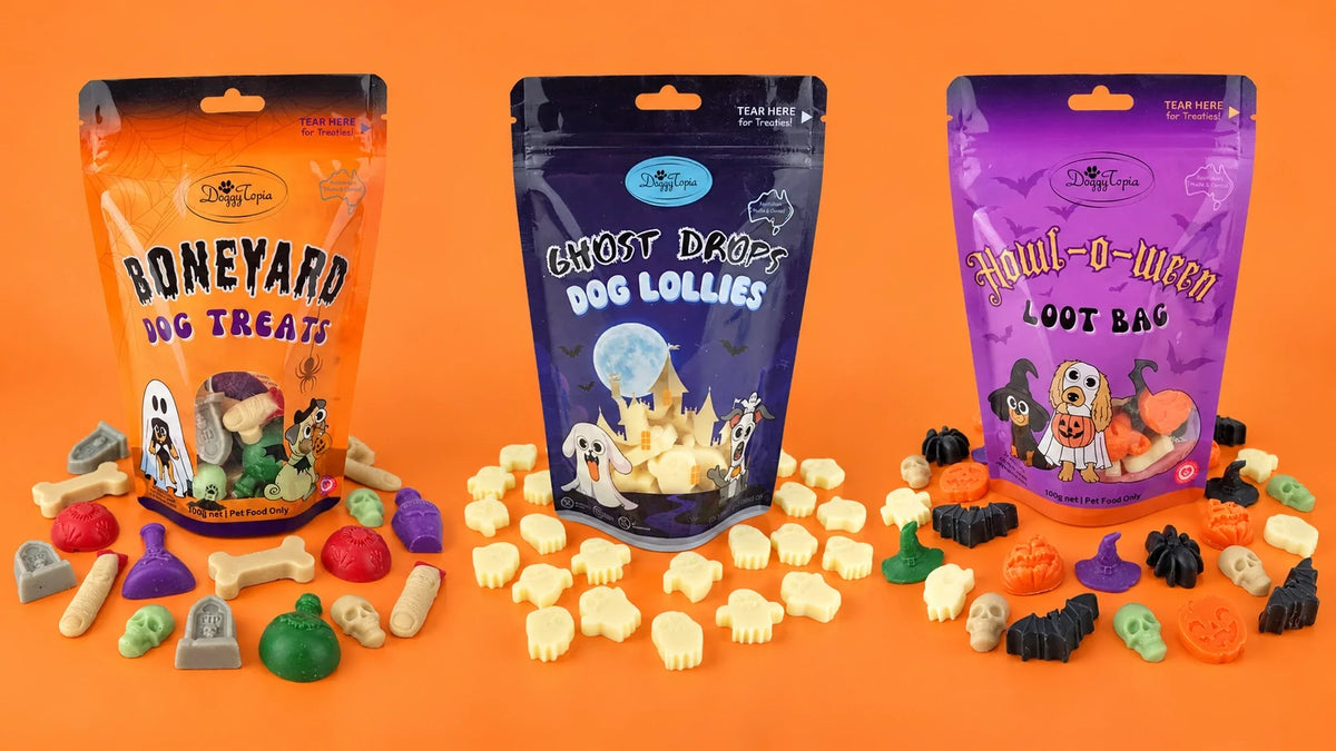 Halloween Dog Treats: How to Choose Healthier Options for Your Pup