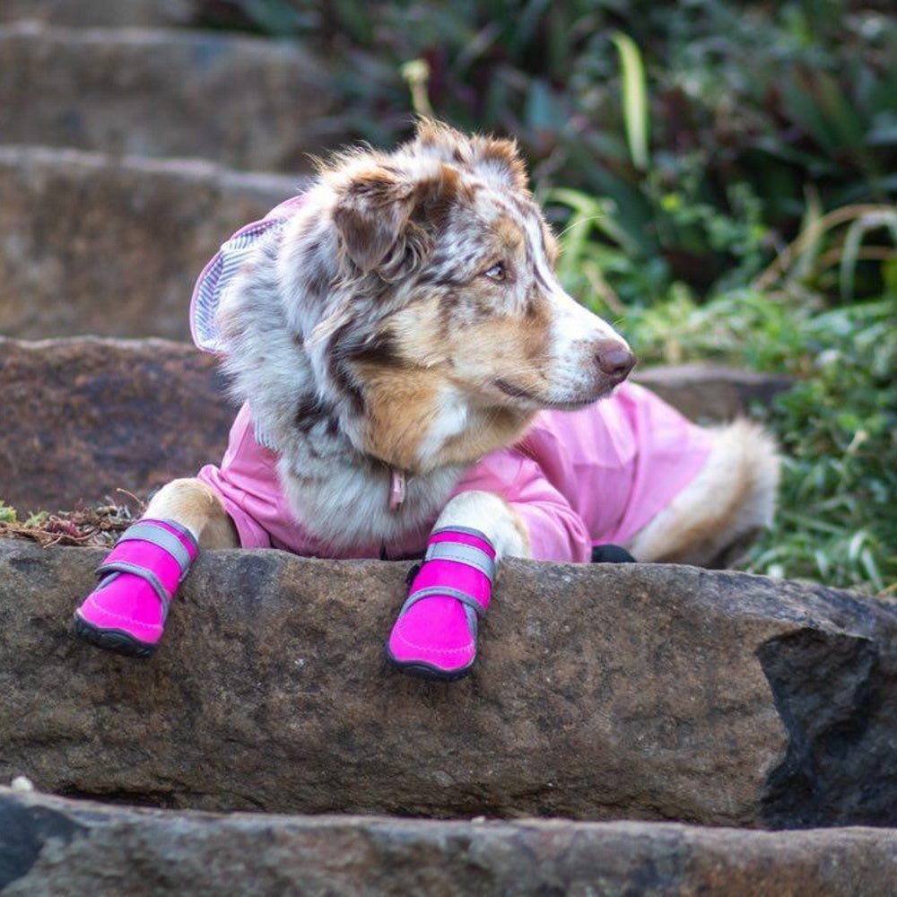 Protecting Your Pup's Paws: Why Dog Shoes Are a Must-Have for Active Dogs - DoggyTopia