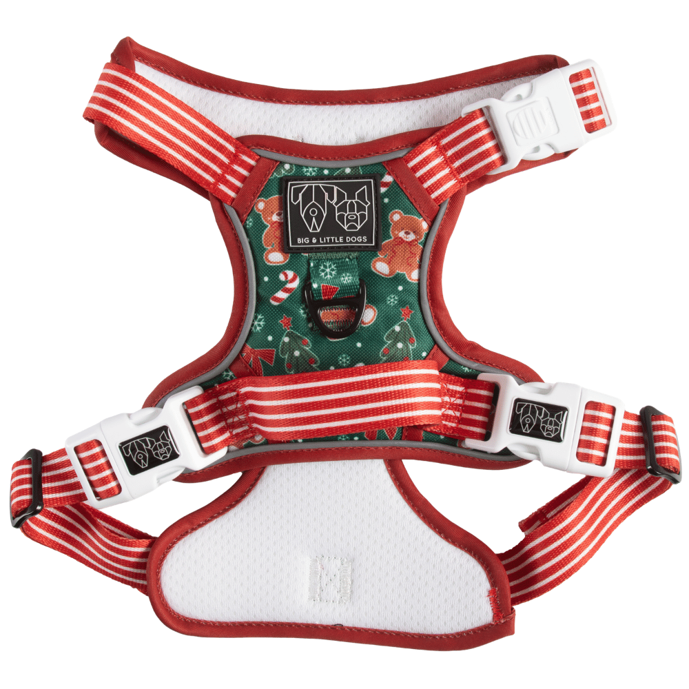 Big & Little Dogs A Beary Merry Christmas All Rounder Harness