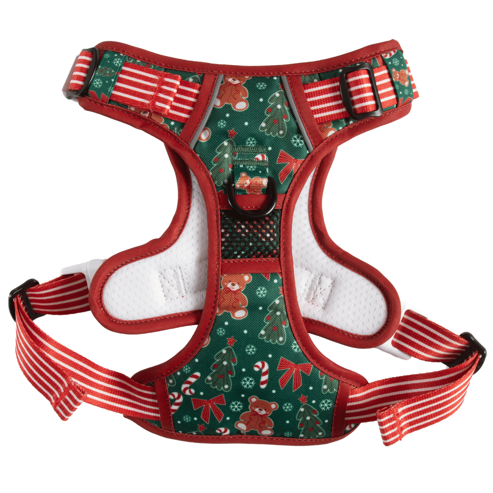 Big & Little Dogs A Beary Merry Christmas All Rounder Harness