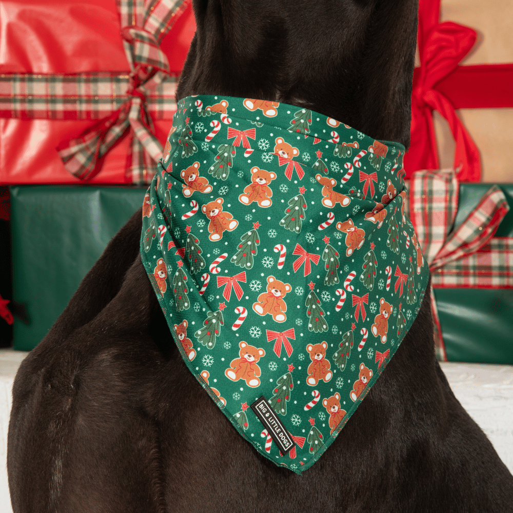Big & Little Dogs A Beary Merry Christmas Bandana