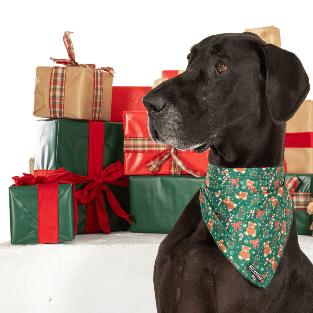 Big & Little Dogs A Beary Merry Christmas Bandana
