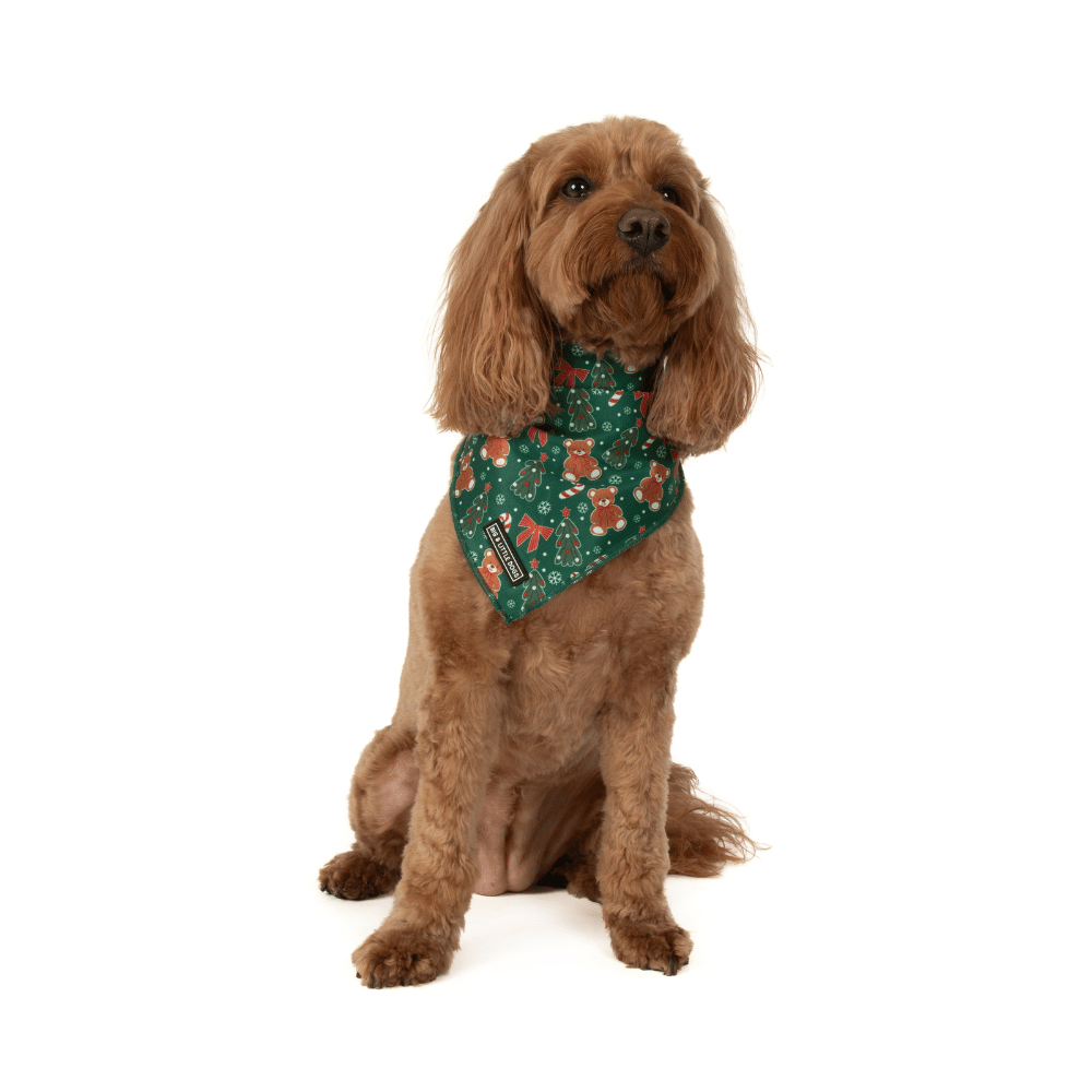 Big & Little Dogs A Beary Merry Christmas Bandana