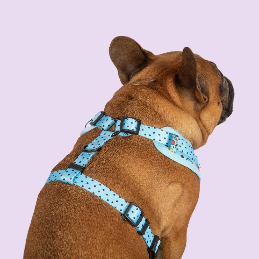 Big & Little Dogs Be Happy Adjustable Harness