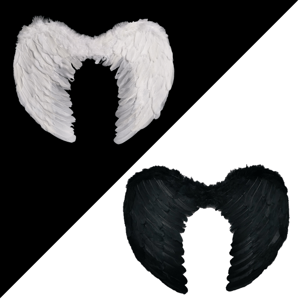 Angel Wings Dog Costume