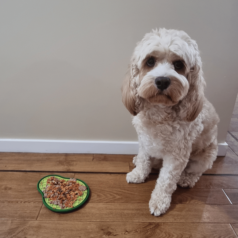 Avocado Dog Lick Mat