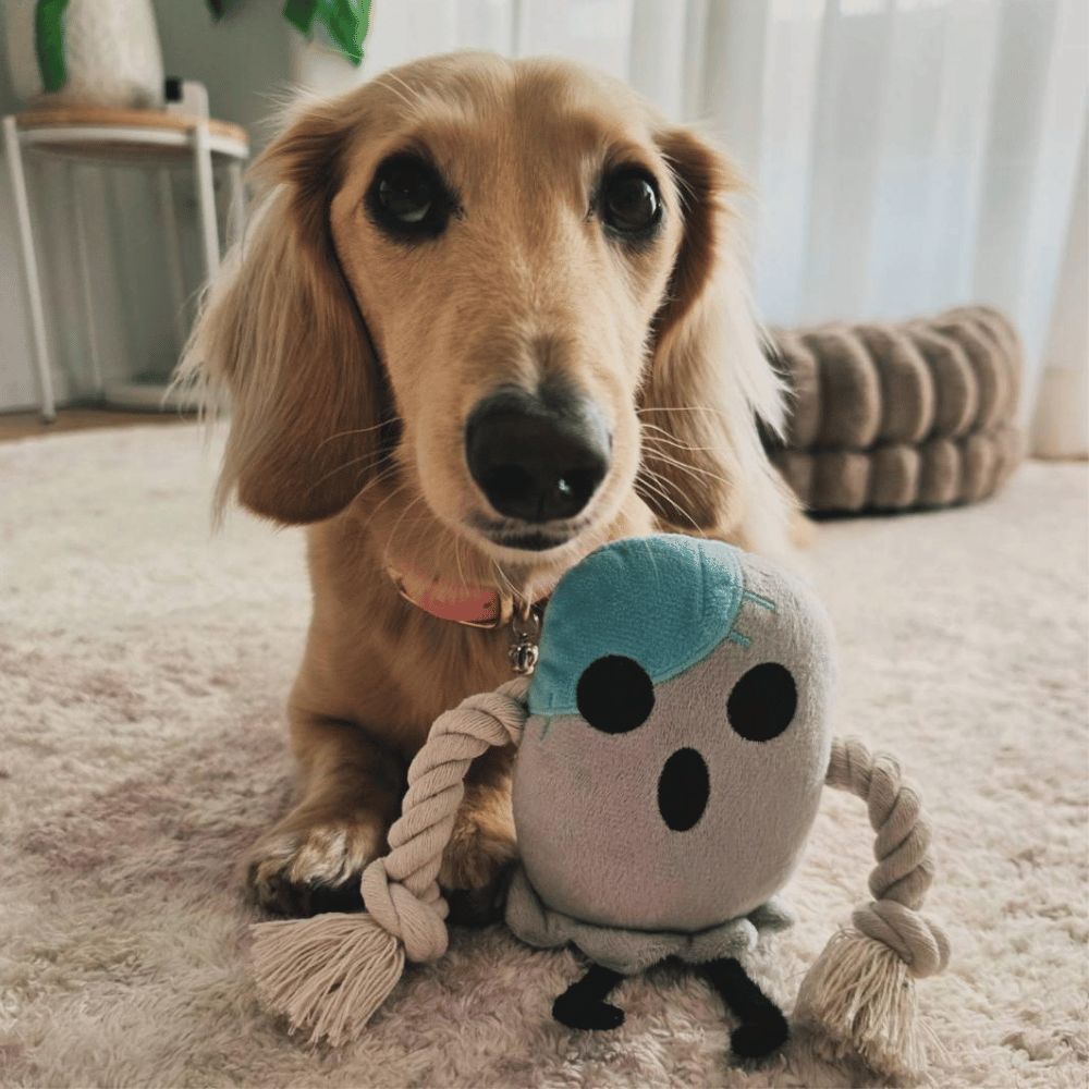 Ghosty Boo Rope Plush Dog Toy