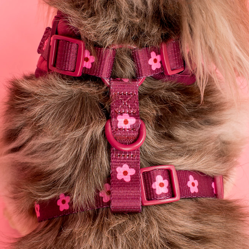 Pablo & Co Bloom Baby Bloom Adjustable Harness Velvet