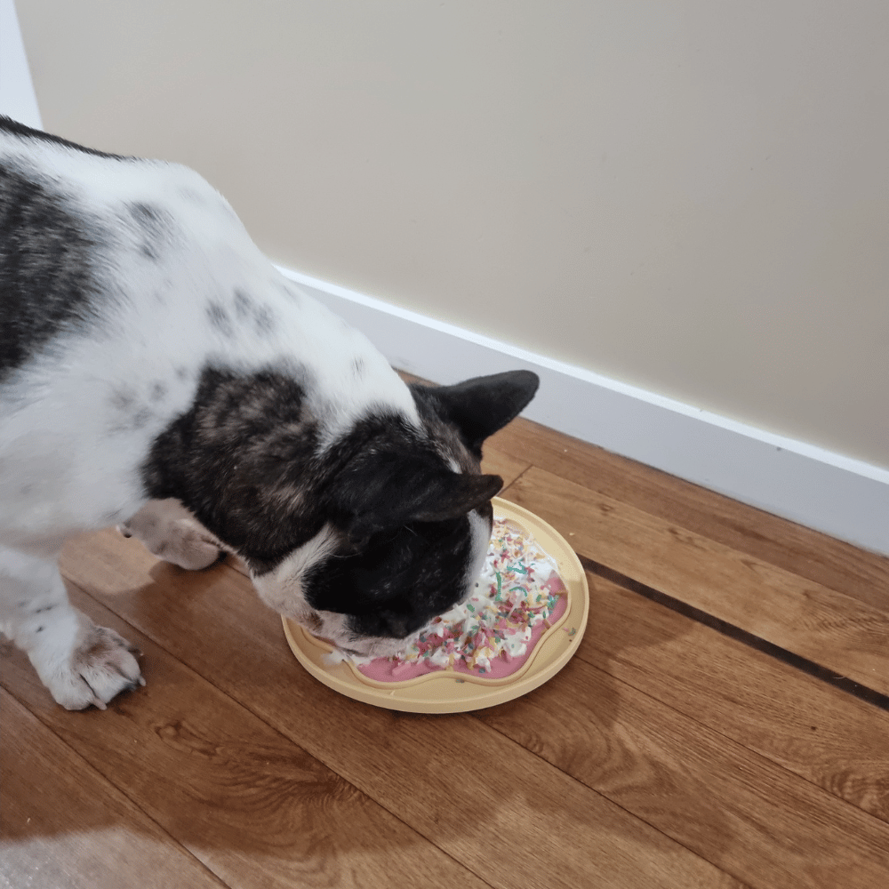 Doughnut Dog Lick Mat