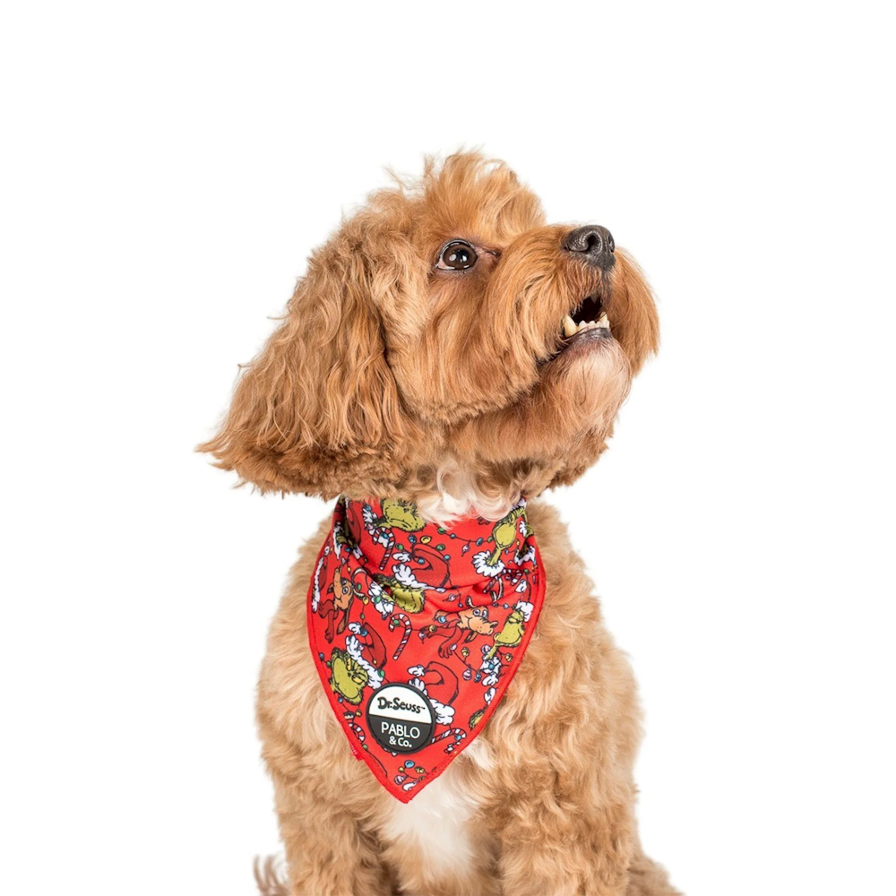 Pablo & Co Dr. Seuss' The Grinch Dog Bandana DoggyTopia