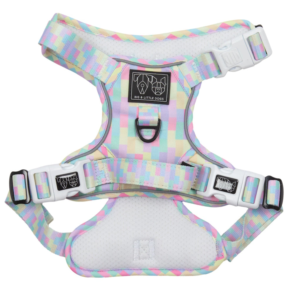 Big & Little Dogs Gelato All Rounder Harness