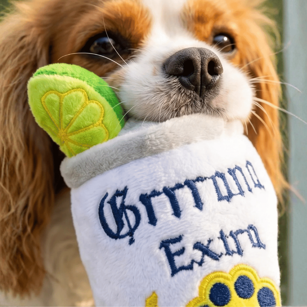 Grrrona Can Dog Toy