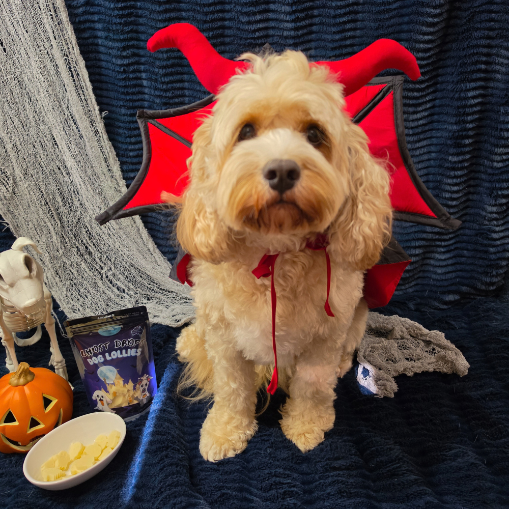 Halloween Ghost Drops Dog Lollies