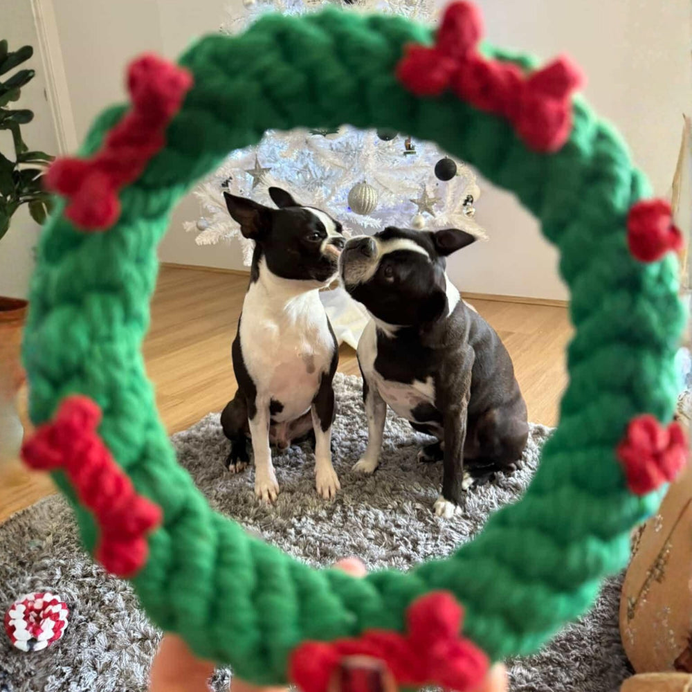 Christmas Wreath Rope Dog Toy