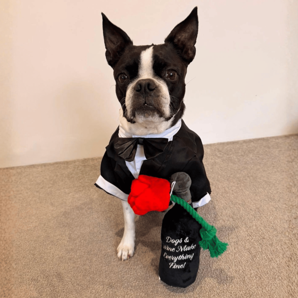 Red Rose Rope Dog Toy