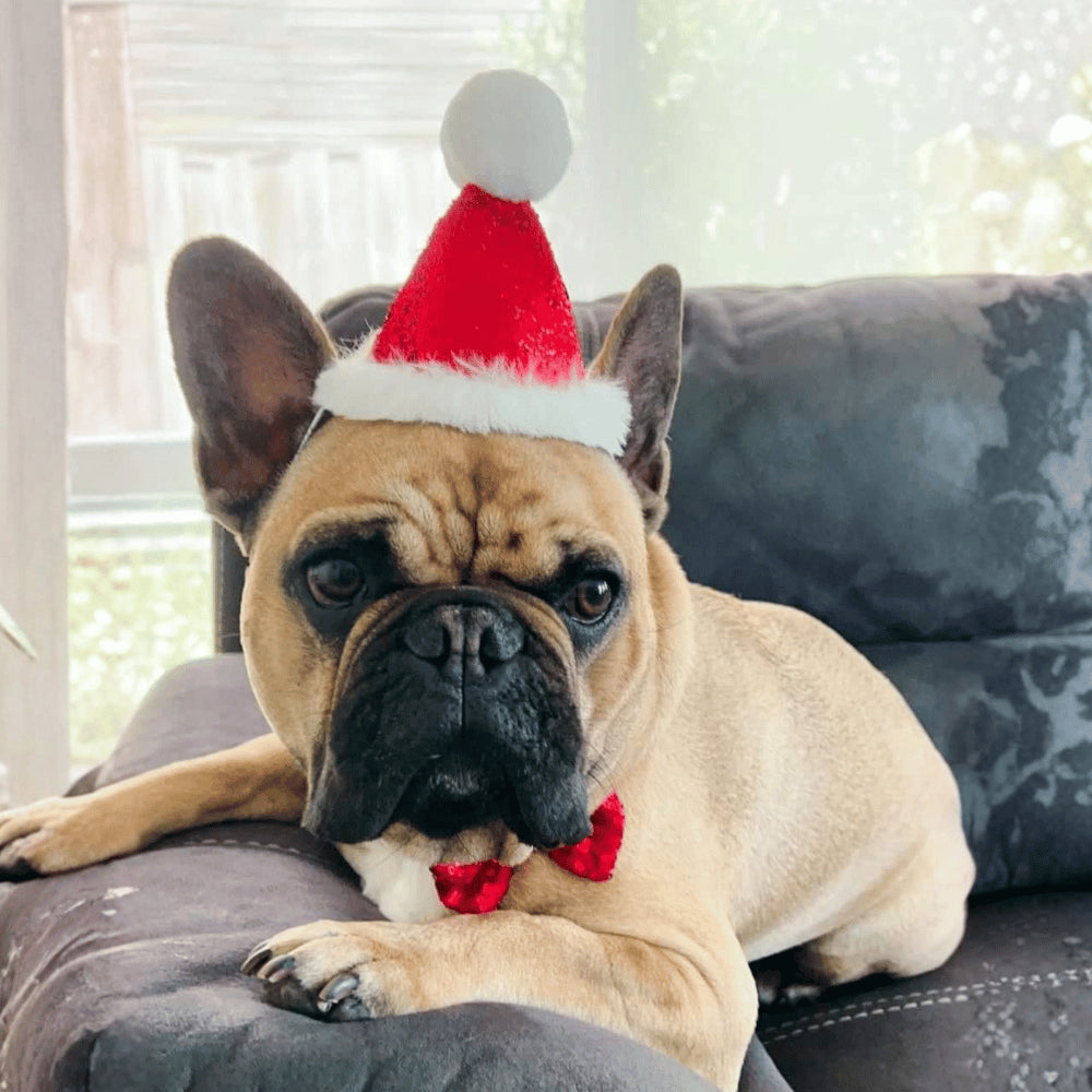 Christmas Party Hat & Bow Tie Collar