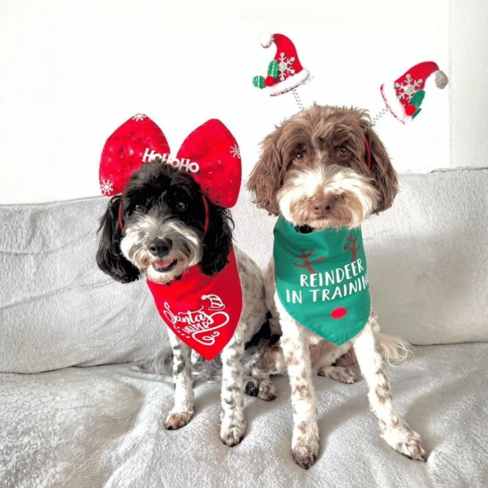 Red Bow Christmas Dog Headband