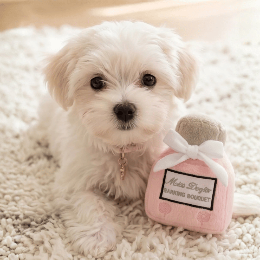 Miss Dogior Perfume Bottle Dog toy
