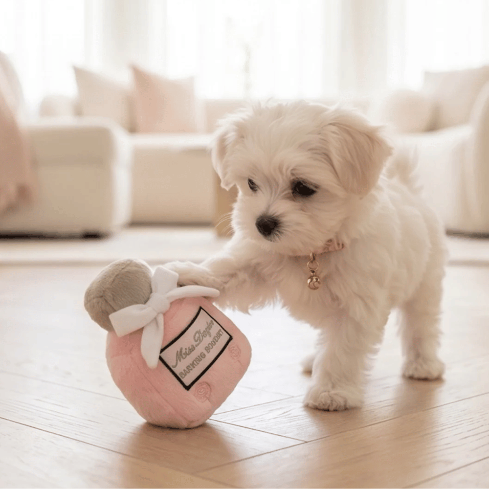 Miss Dogior Perfume Bottle Dog toy
