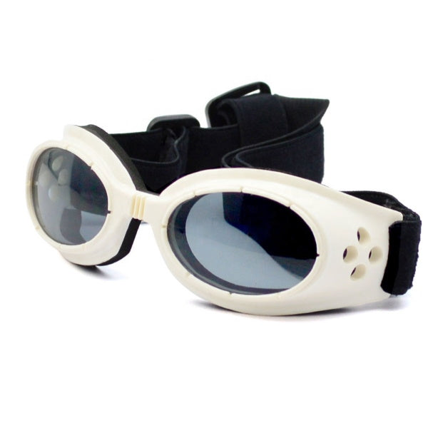 Olive Dog Goggles