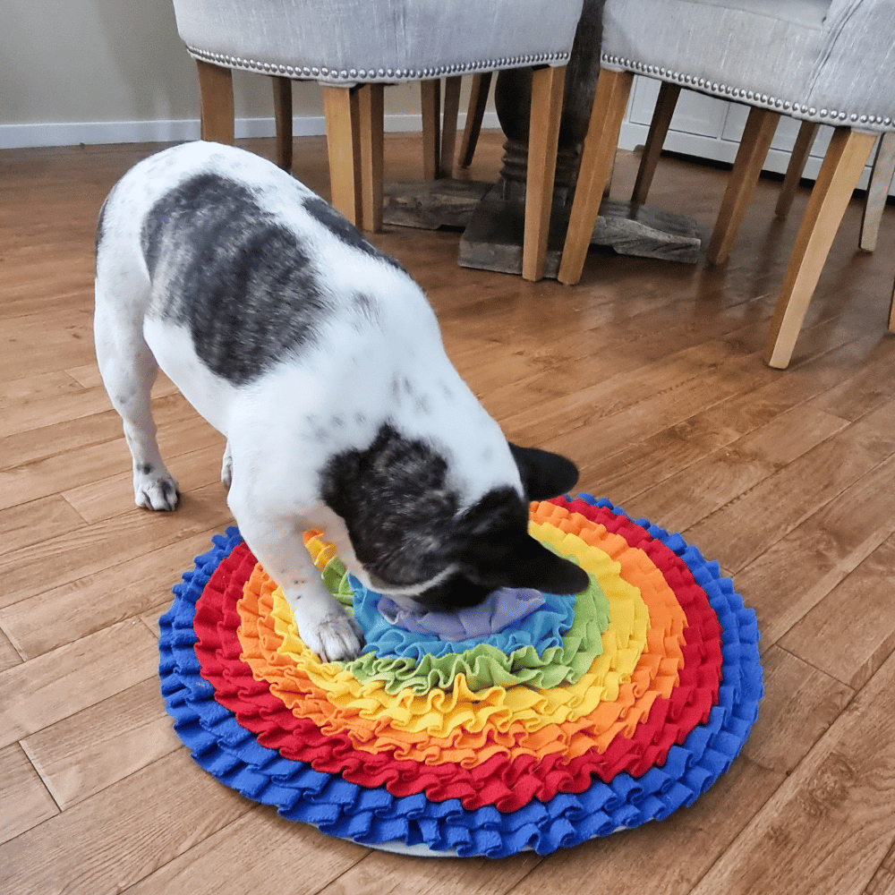Over The Rainbow Snuffle Mat