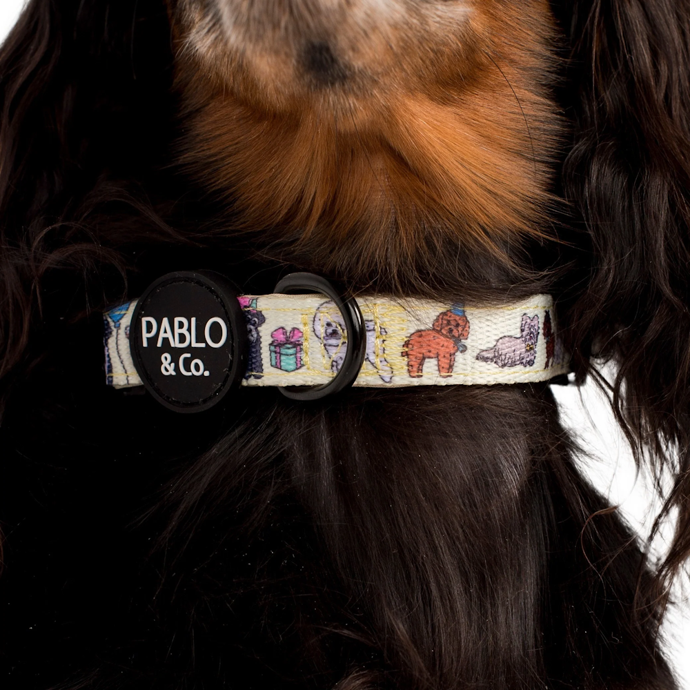 Pablo & Co Party Dawgs Dog Collar DoggyTopia DoggyTopia