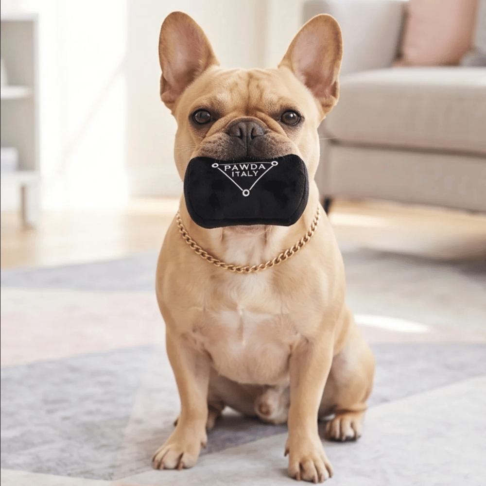 Pawda Handbag Dog Toy