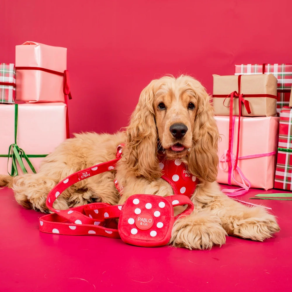 Pablo & Co Red Polka Dots Dog Leash Velvet