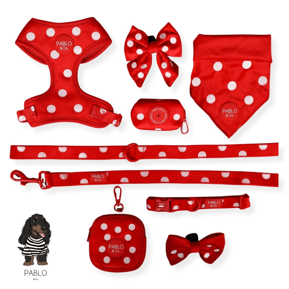 Pablo & Co Red Polka Dots Dog Leash Velvet