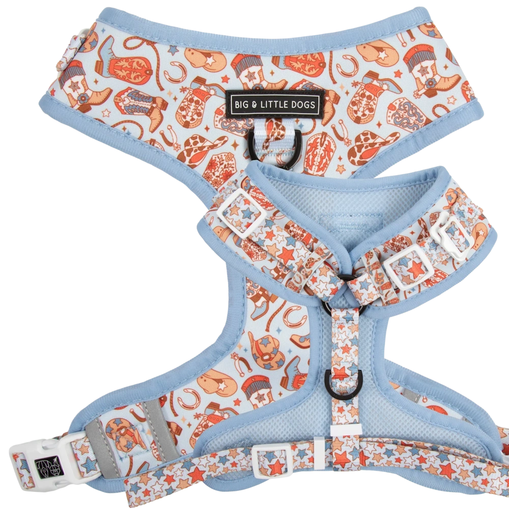 Big & Little Dogs Rodeo King Adjustable Dog Harness