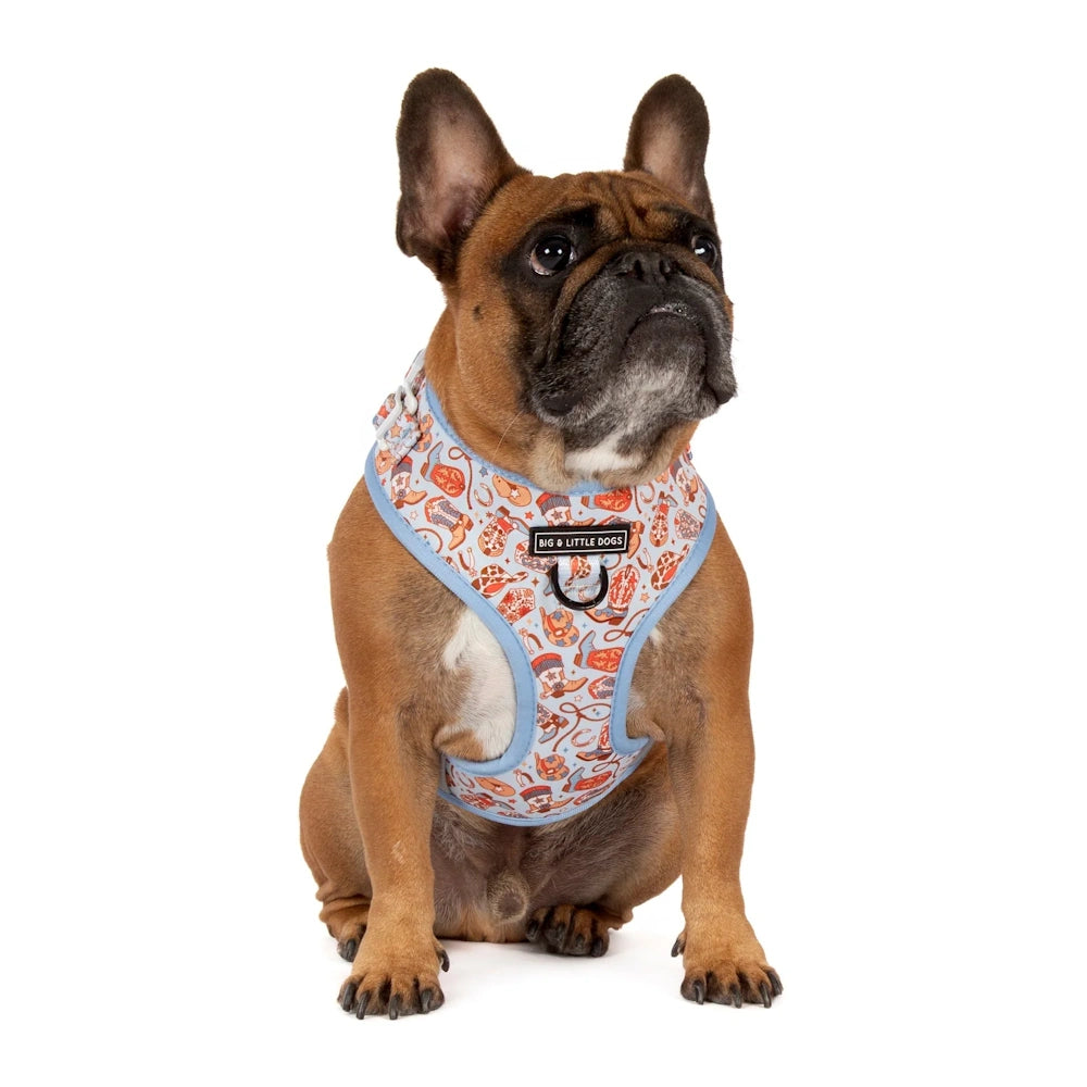 Big & Little Dogs Rodeo King Adjustable Dog Harness