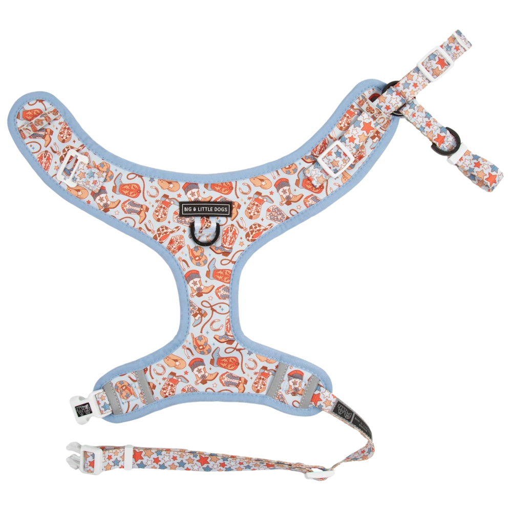 Big & Little Dogs Rodeo King Adjustable Dog Harness