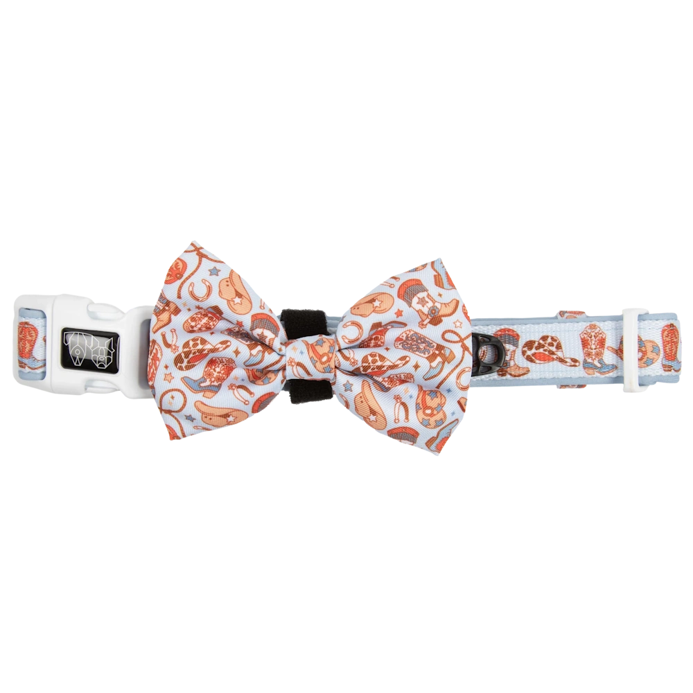 Big & Little Dogs Rodeo King Collar & Bow Tie