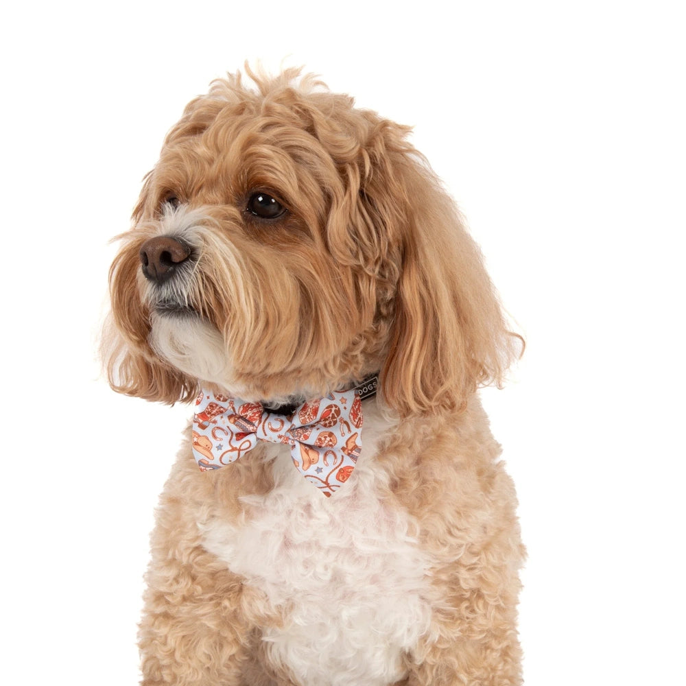 Big & Little Dogs Rodeo King Collar & Bow Tie