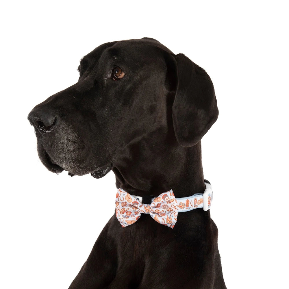 Big & Little Dogs Rodeo King Collar & Bow Tie