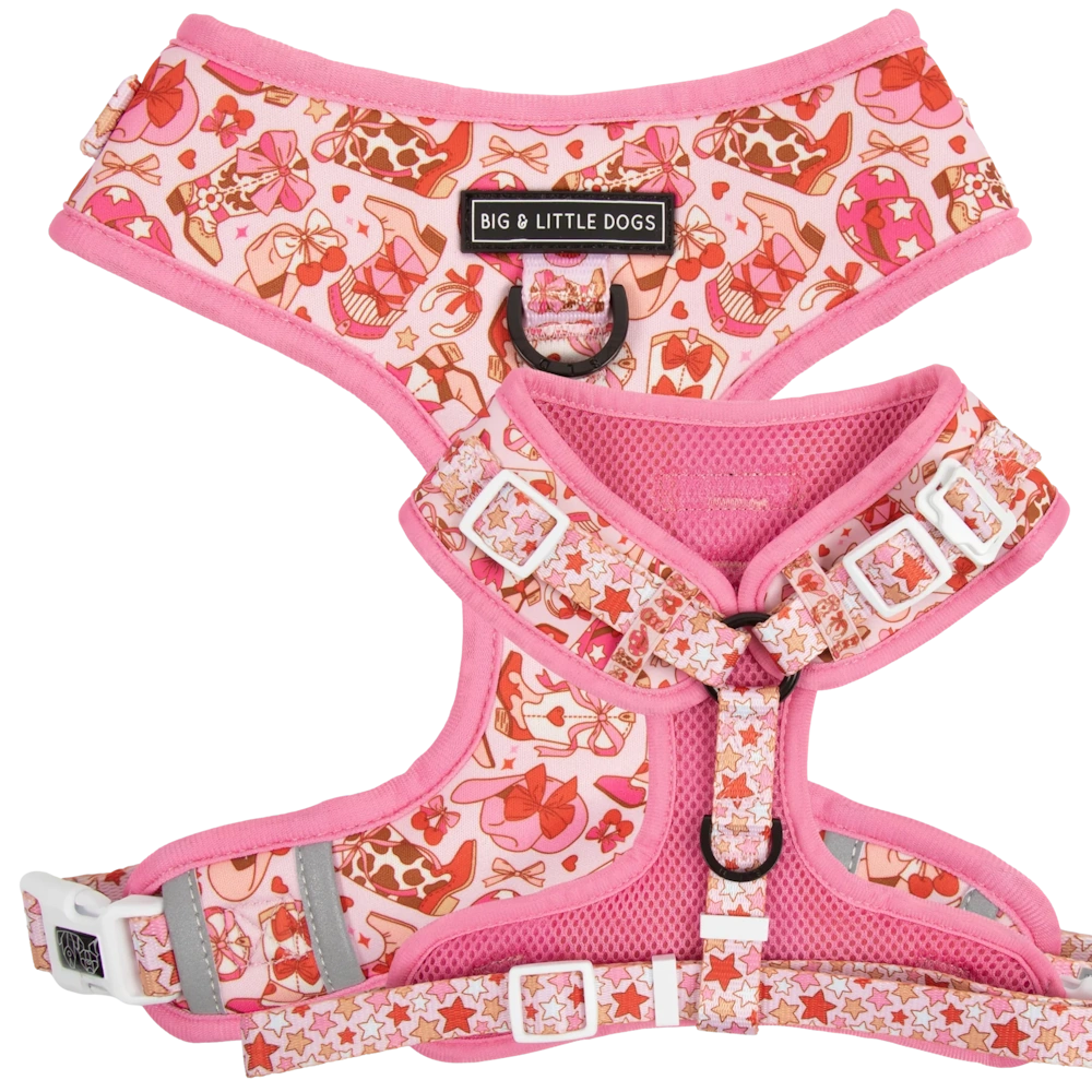 Big & Little Dogs Rodeo Queen Adjustable Dog Harness