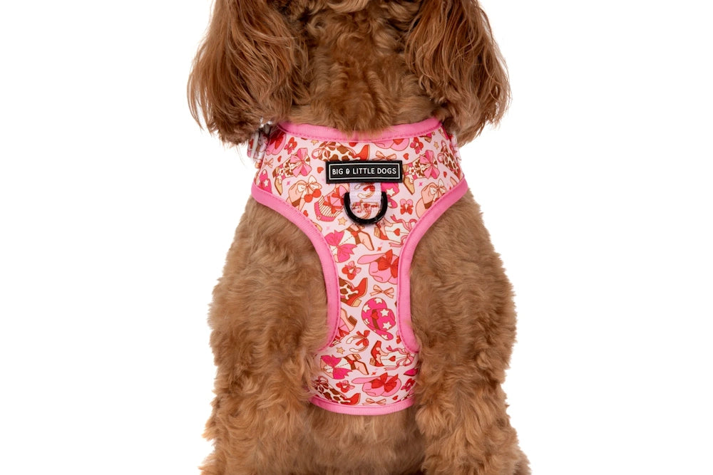 Big & Little Dogs Rodeo Queen Adjustable Dog Harness