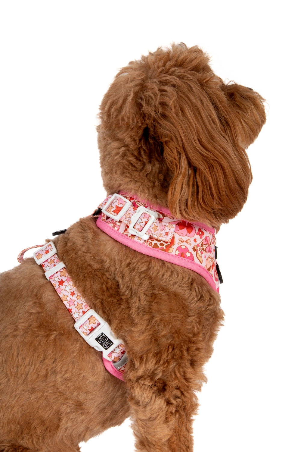 Big & Little Dogs Rodeo Queen Adjustable Dog Harness
