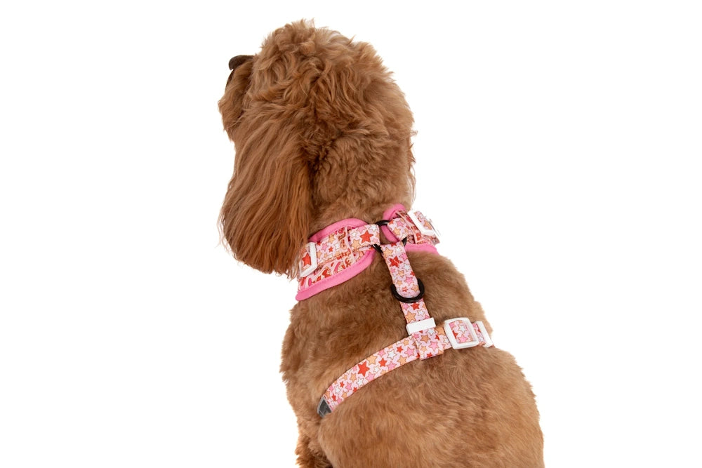 Big & Little Dogs Rodeo Queen Adjustable Dog Harness