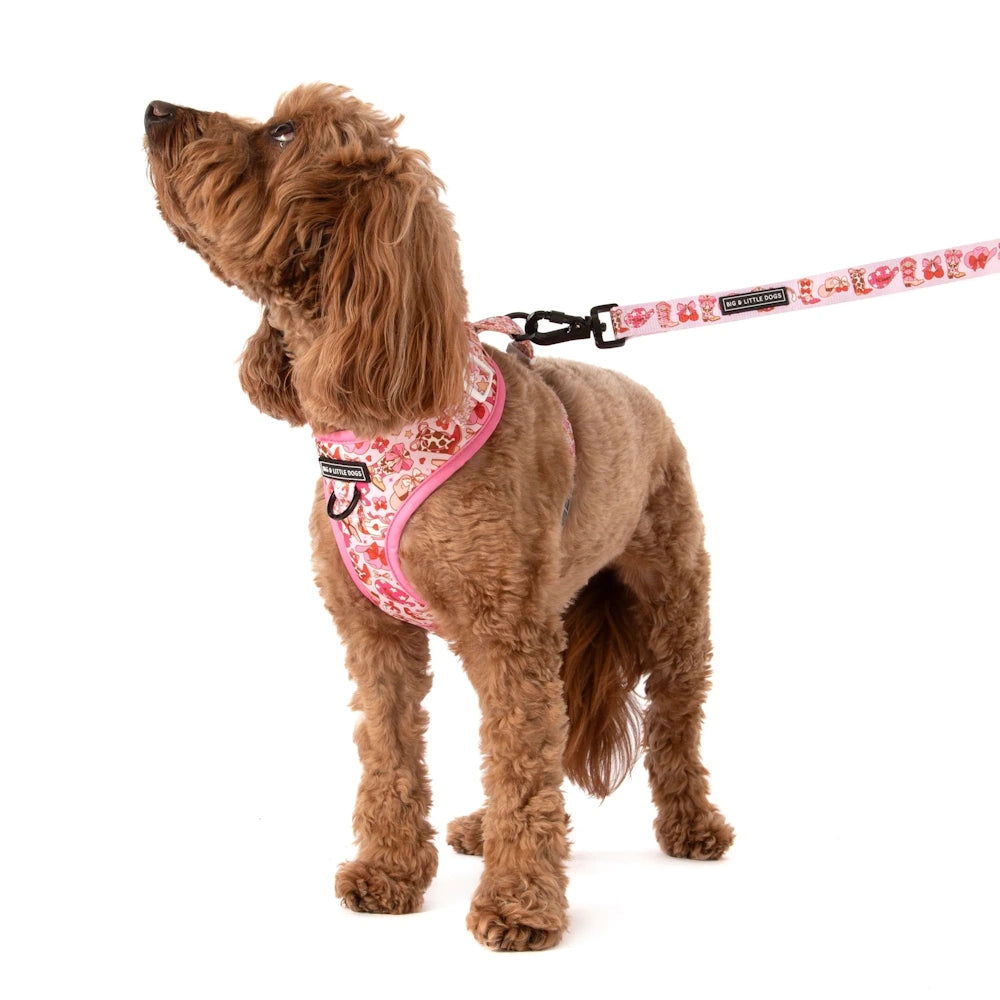 Big & Little Dogs Rodeo Queen Adjustable Dog Harness