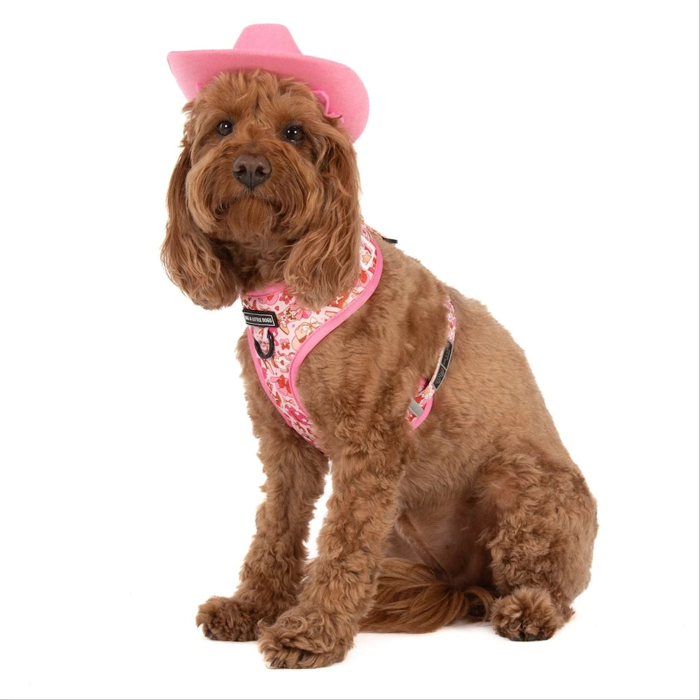 Big & Little Dogs Rodeo Queen Adjustable Dog Harness