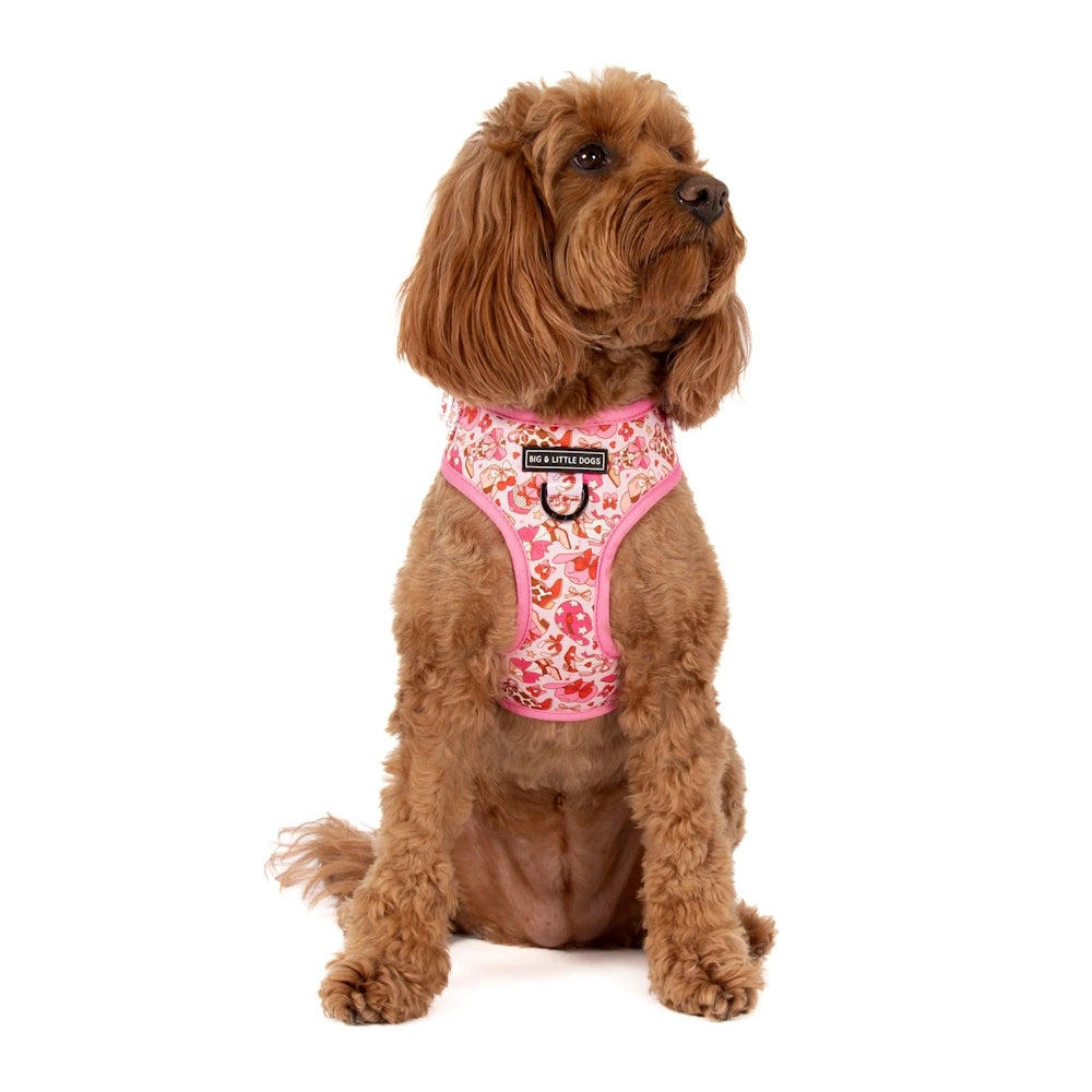 Big & Little Dogs Rodeo Queen Adjustable Dog Harness