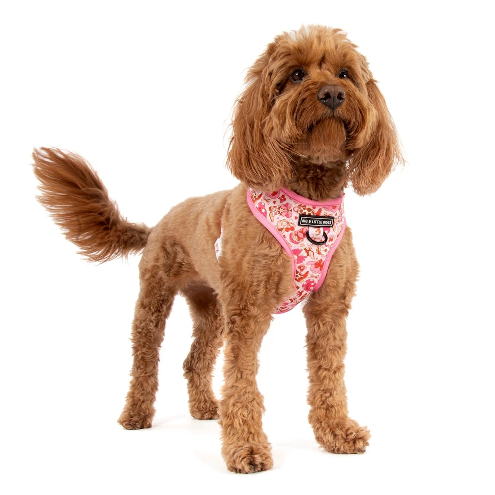 Big & Little Dogs Rodeo Queen Adjustable Dog Harness
