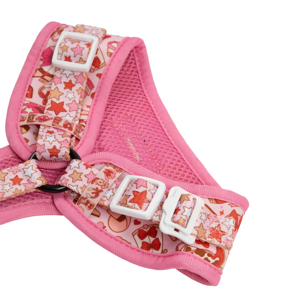 Big & Little Dogs Rodeo Queen Adjustable Dog Harness