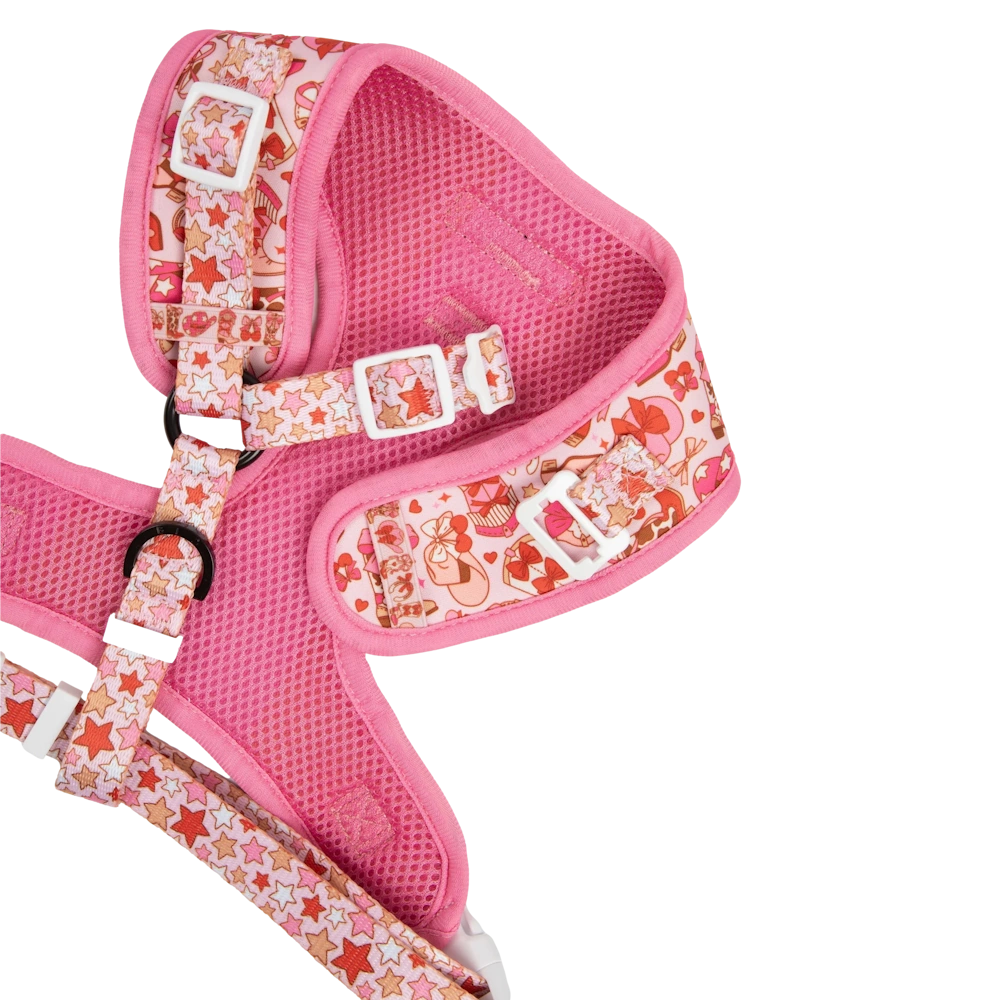 Big & Little Dogs Rodeo Queen Adjustable Dog Harness