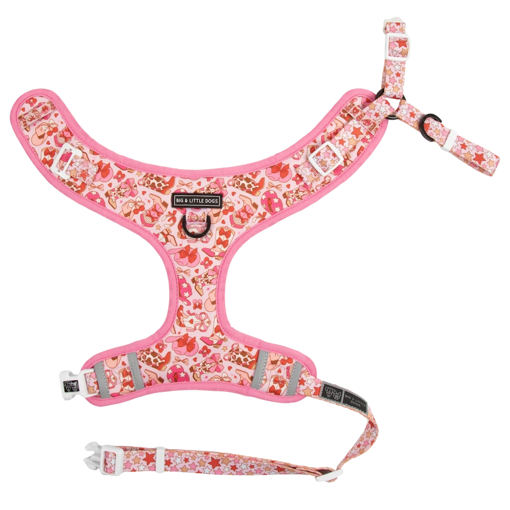 Big & Little Dogs Rodeo Queen Adjustable Dog Harness