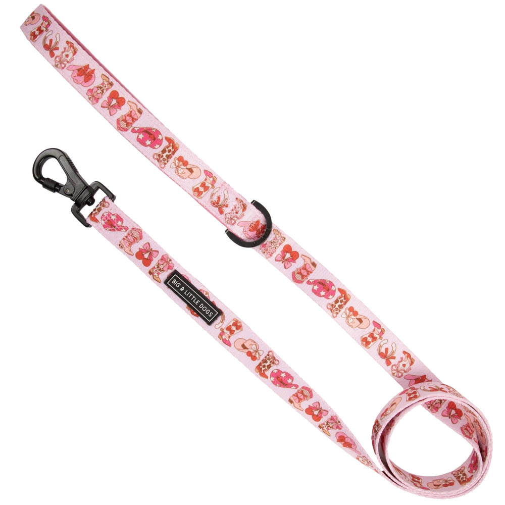 Big & Little Dogs Rodeo Queen Dog Leash