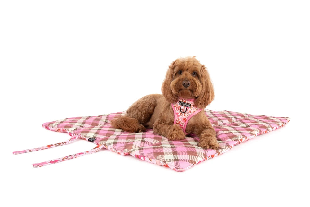 Big & Little Dogs Rodeo Queen On the Go Pet Mat