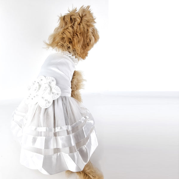 Rosetta Wedding Dog Dress