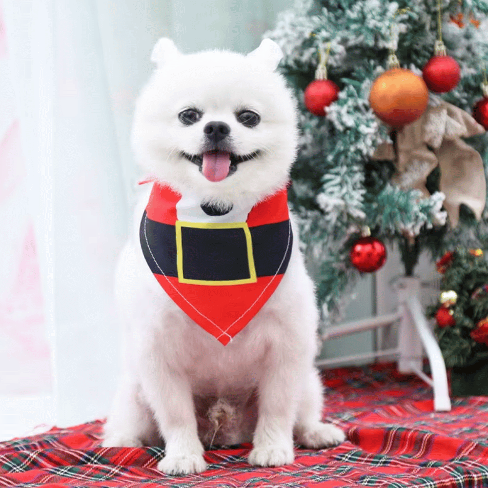 Santa Paws Dog Bandana